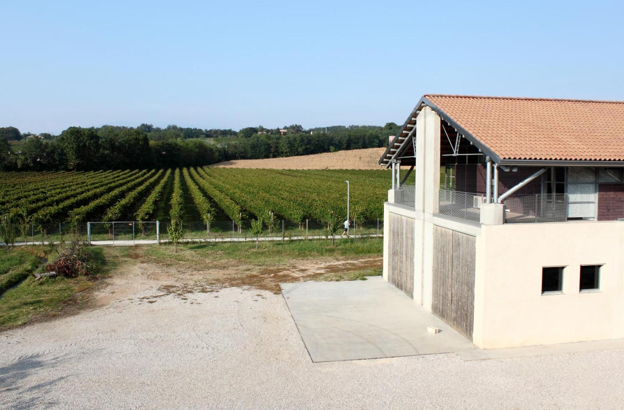 Caspineda Agriturismo Montebelluna Dış mekan fotoğraf