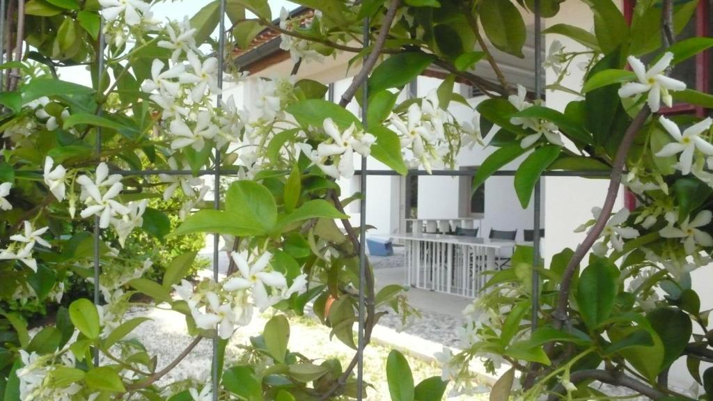 Caspineda Agriturismo Montebelluna Dış mekan fotoğraf